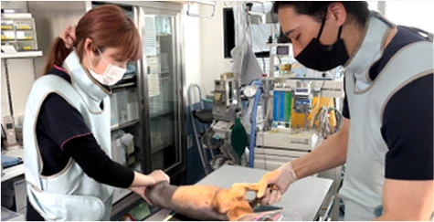 手術着を着用したスタッフによる術後の丁寧な処置の様子