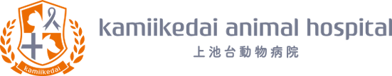 上池台動物病院