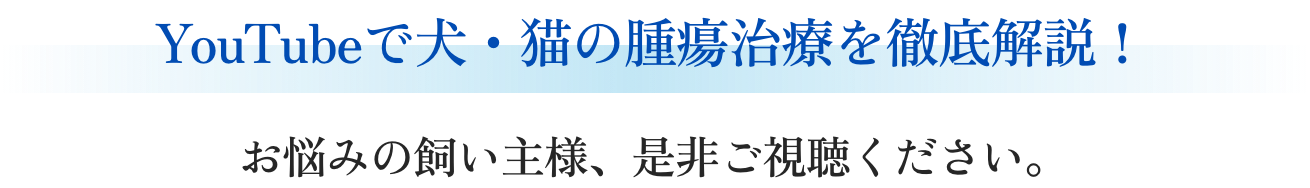 YouTubeで犬・猫の腫瘍治療を徹底解説！