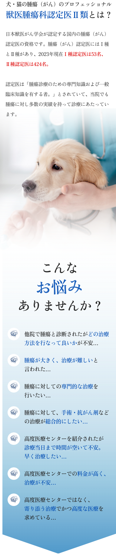 犬・猫の腫瘍（がん）のプロフェッショナル 獣医腫瘍科認定医Ⅱ類とは？