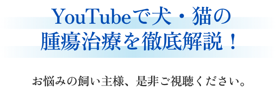 YouTubeで犬・猫の腫瘍治療を徹底解説！