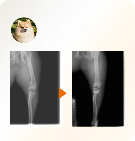 治療前後のレントゲン画像