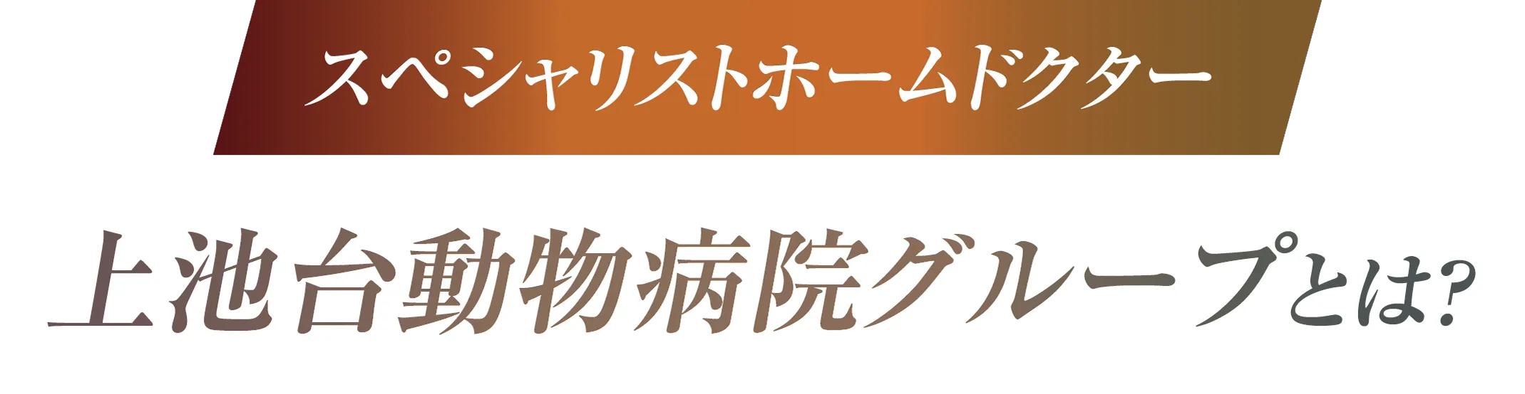 上池台動物病院グループとは