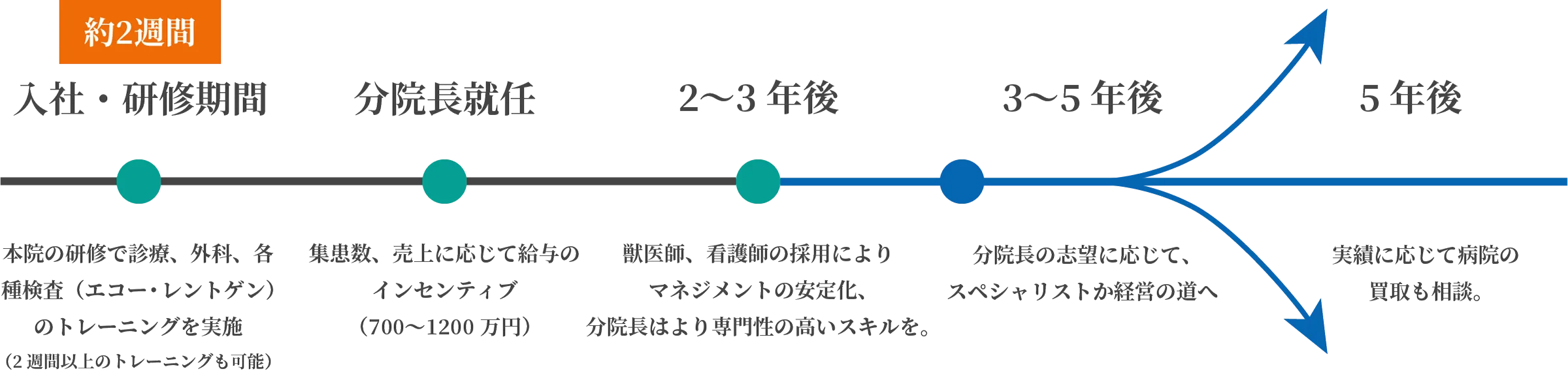 キャリアプラン