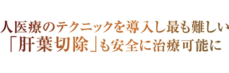 人医療のテクニックを導入し最も難しい「肝葉切除」も安全に治療可能に