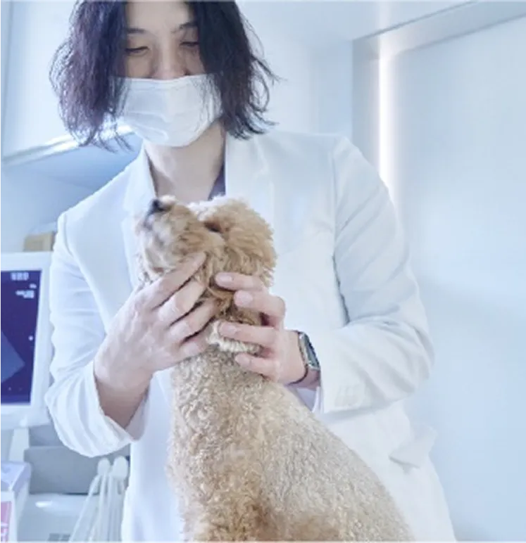腫瘍科