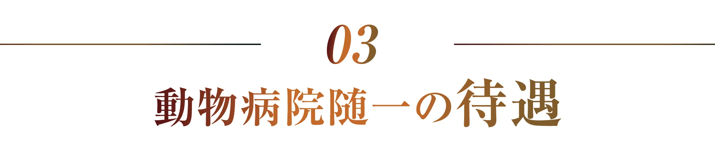 動物病院随一の待遇