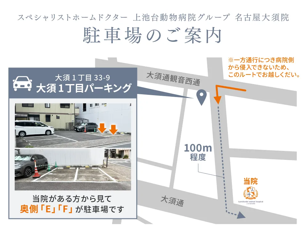 上池台動物病院 名古屋大須院 専用駐車場