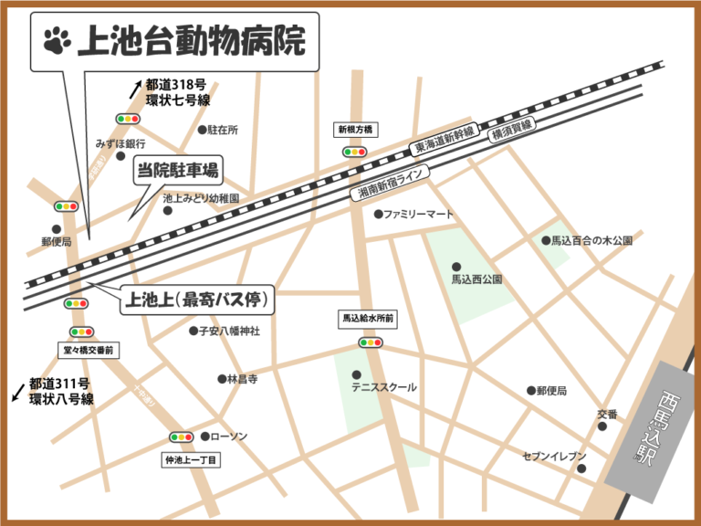 アクセス  上池台動物病院｜大田区・西馬込駅｜犬 猫｜腫瘍科・がん治療
