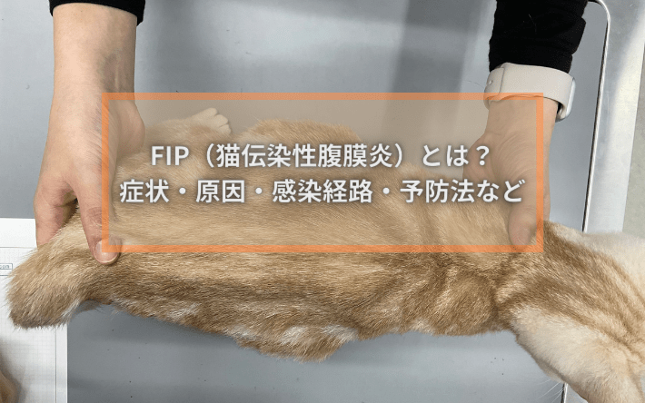 予防のためのヒント