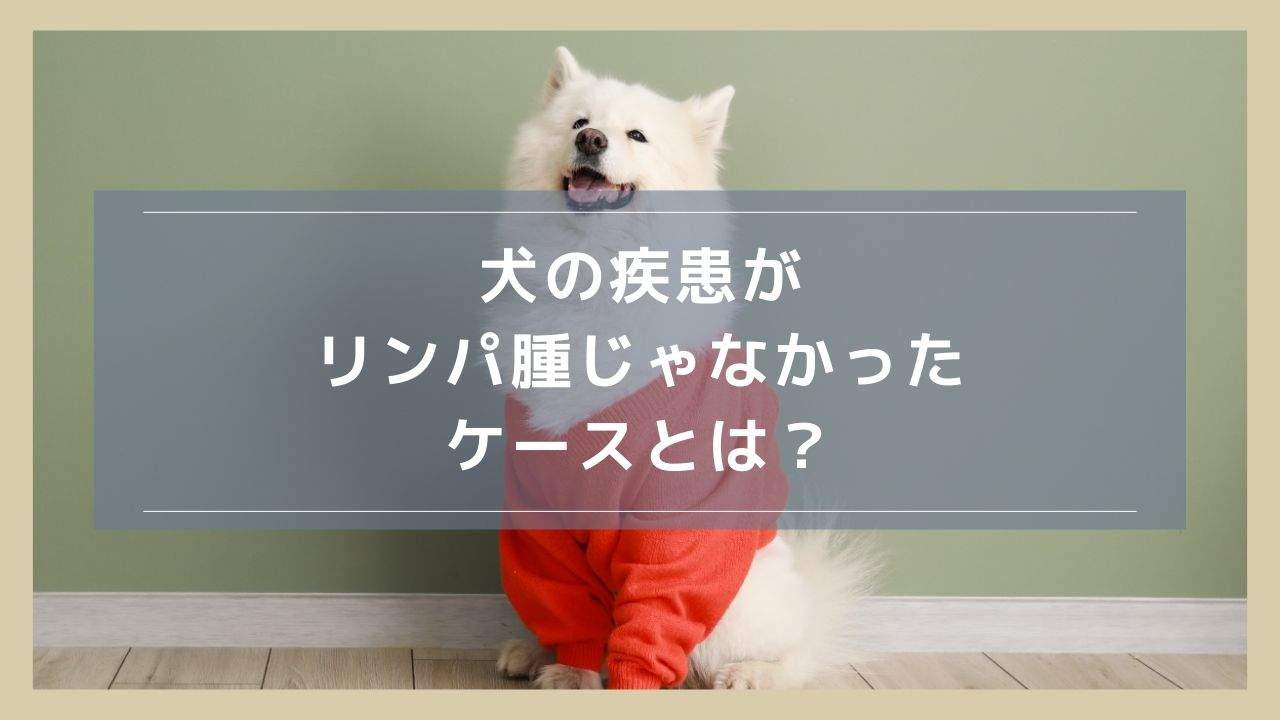 犬の疾患がリンパ腫じゃなかったケースとは？症状が似た疾患を紹介