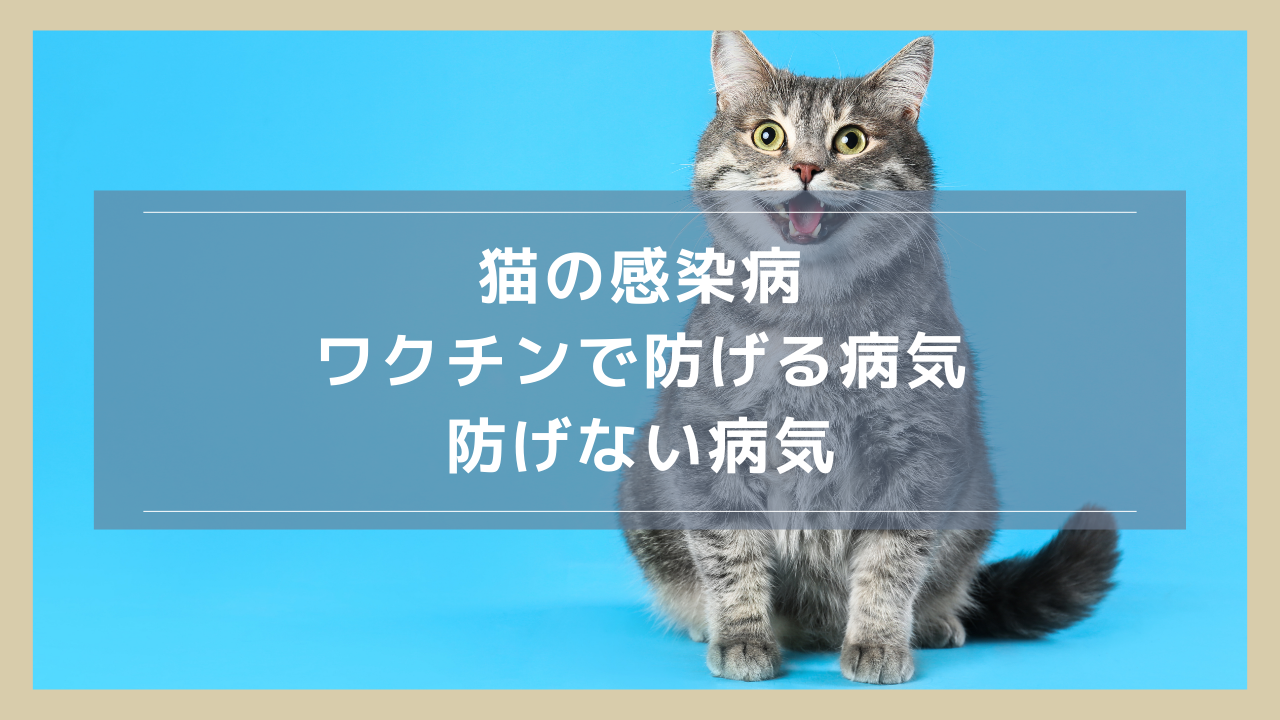 【猫の感染病まとめ】ワクチンで防げる病気・防げない病気を解説