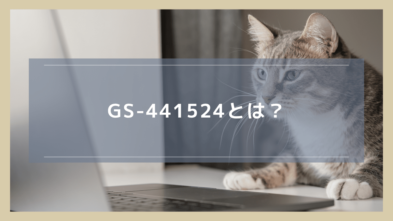 GS-441524とは？猫のFIPに対する有効性や適切な投与方法を解説