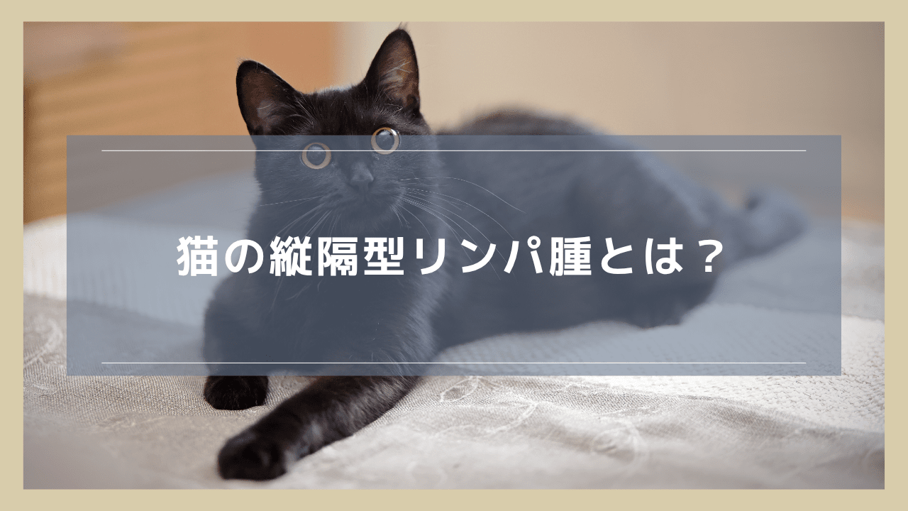 猫の​​縦隔型リンパ腫とは？症状や治療、最期について解説