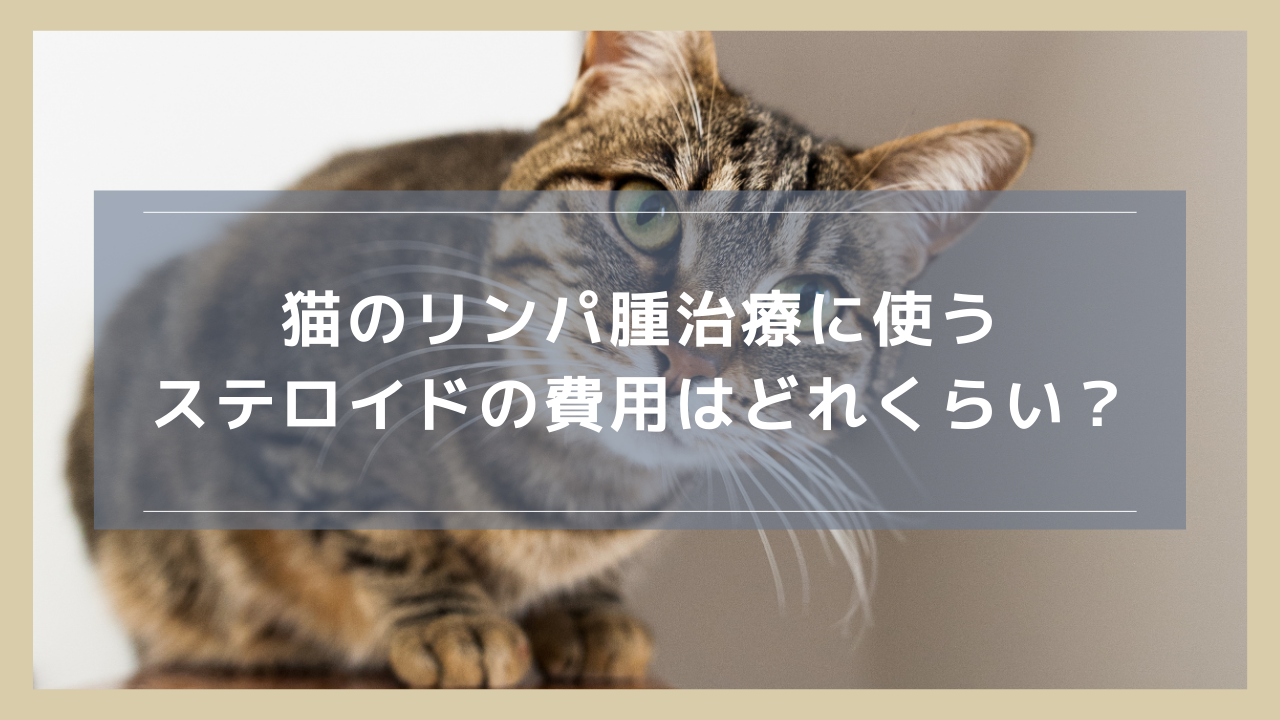 猫のリンパ腫治療に使うステロイドの費用はどれくらい？「費用を抑えた治療」に対する医師の見解も紹介