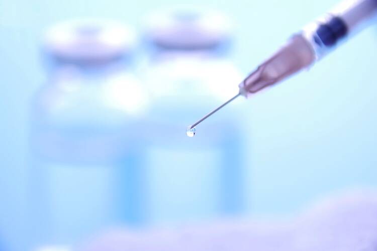 猫のリンパ腫治療に使われる抗がん剤の効果