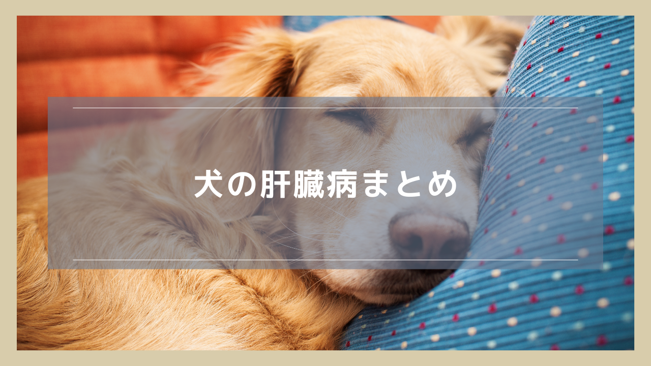 【犬の肝臓病まとめ】各病気の症状・原因・治療について解説