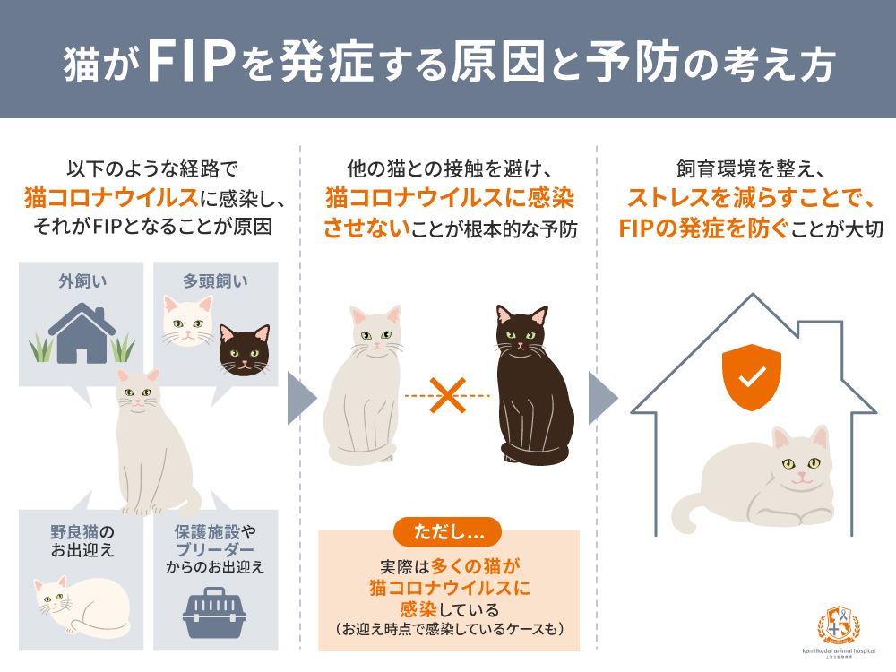 FIPの原因
