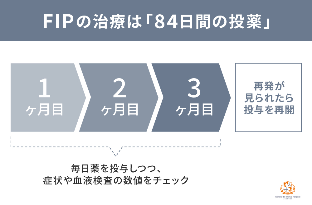 FIPを発症した猫の治療